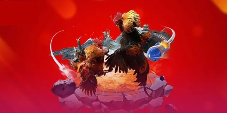 Đá Gà 77Ball Trực Tiếp Đỉnh Cao Săn Thưởng Cực Lớn Ngay 1 Đá Gà 77Ball Trực Tiếp Đỉnh Cao Săn Thưởng Cực Lớn Ngay