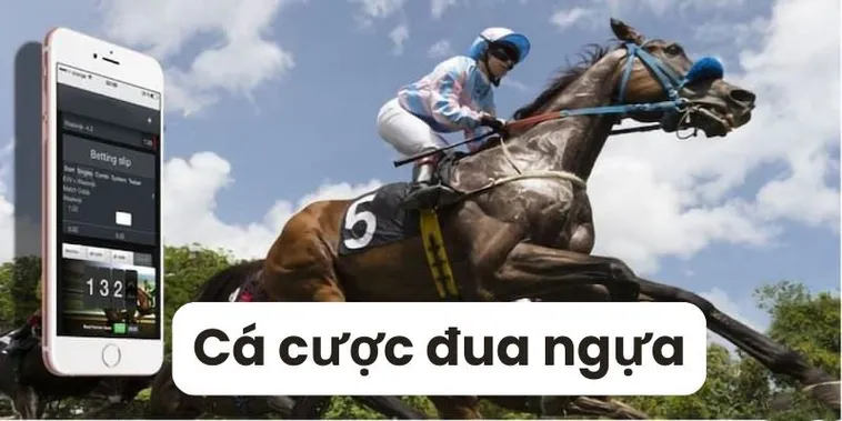 Về Đích Thắng Lớn Cùng Cá Cược Đua Ngựa 77Ball Hấp Dẫn 2 Về Đích Thắng Lớn Cùng Cá Cược Đua Ngựa 77Ball Hấp Dẫn